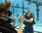 dive training and courses in wellington with island bay divers