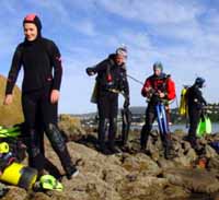 island bay dive training scuba diving course wellington