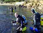 dive training and courses in wellington with island bay divers